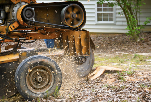 stump grinding Three Points az